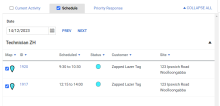 A screenshot of the Schedule tab on the service dashboard.
