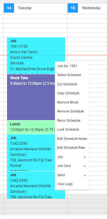 A screenshot of the schedule block options.