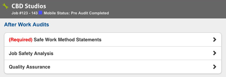 A screenshot of the post-audits available to complete in Connect.