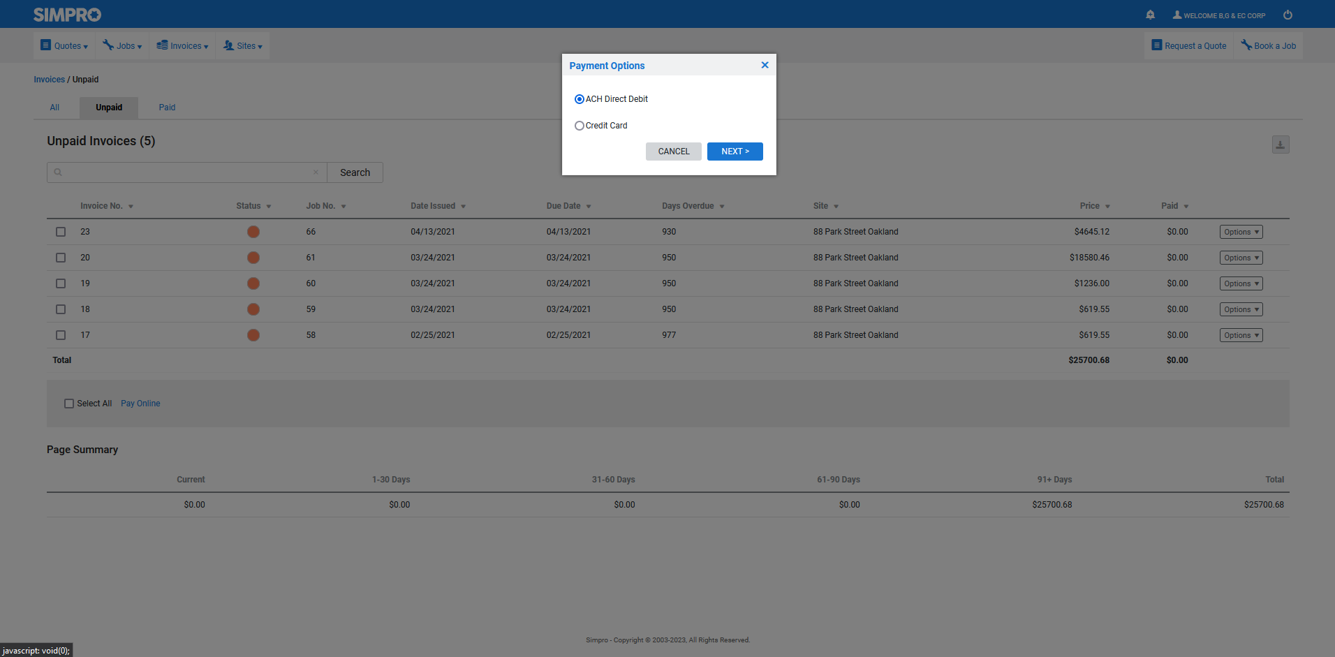 A screenshot of the ACH payment option in the customer portal.