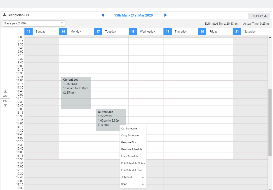A screenshot of the schedule view within a job.