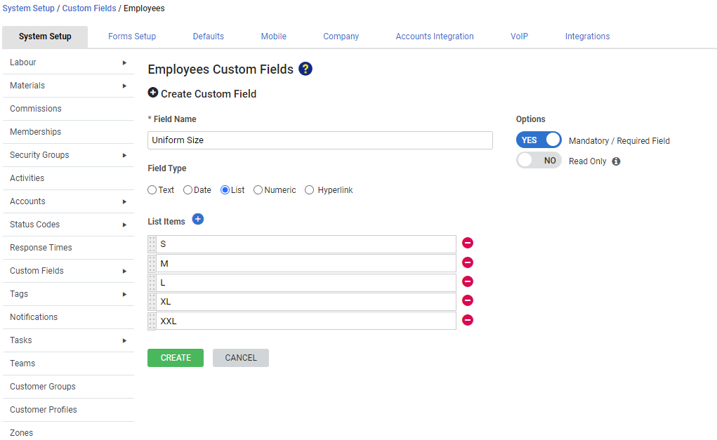 A screenshot of the Custom Fields option in System Setup.